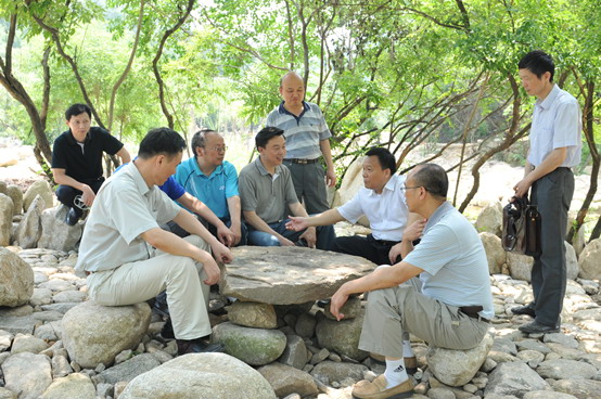 湖北武汉市人大常委会副主任胡绪鹍 调研黄陂古村落保护工作